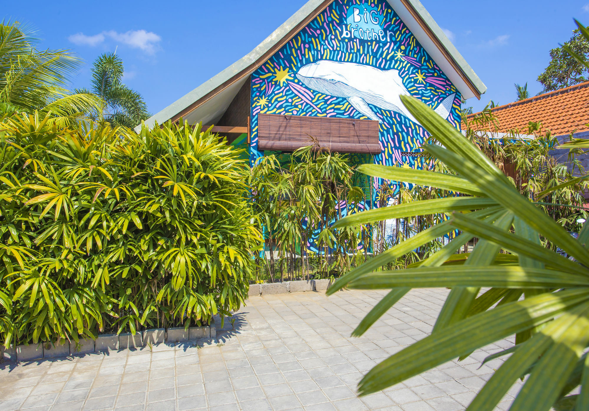 Big Brother Surf Inn Canggu Екстериор снимка